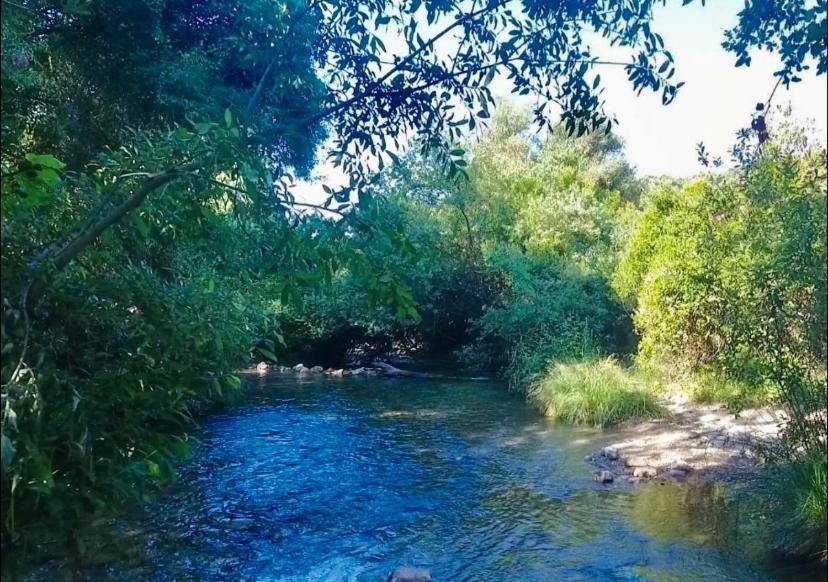 אל בוסקה Alto De Torrecillas מראה חיצוני תמונה